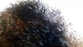 Logan Pikk shoves sexy lesbi kukk Valentinae